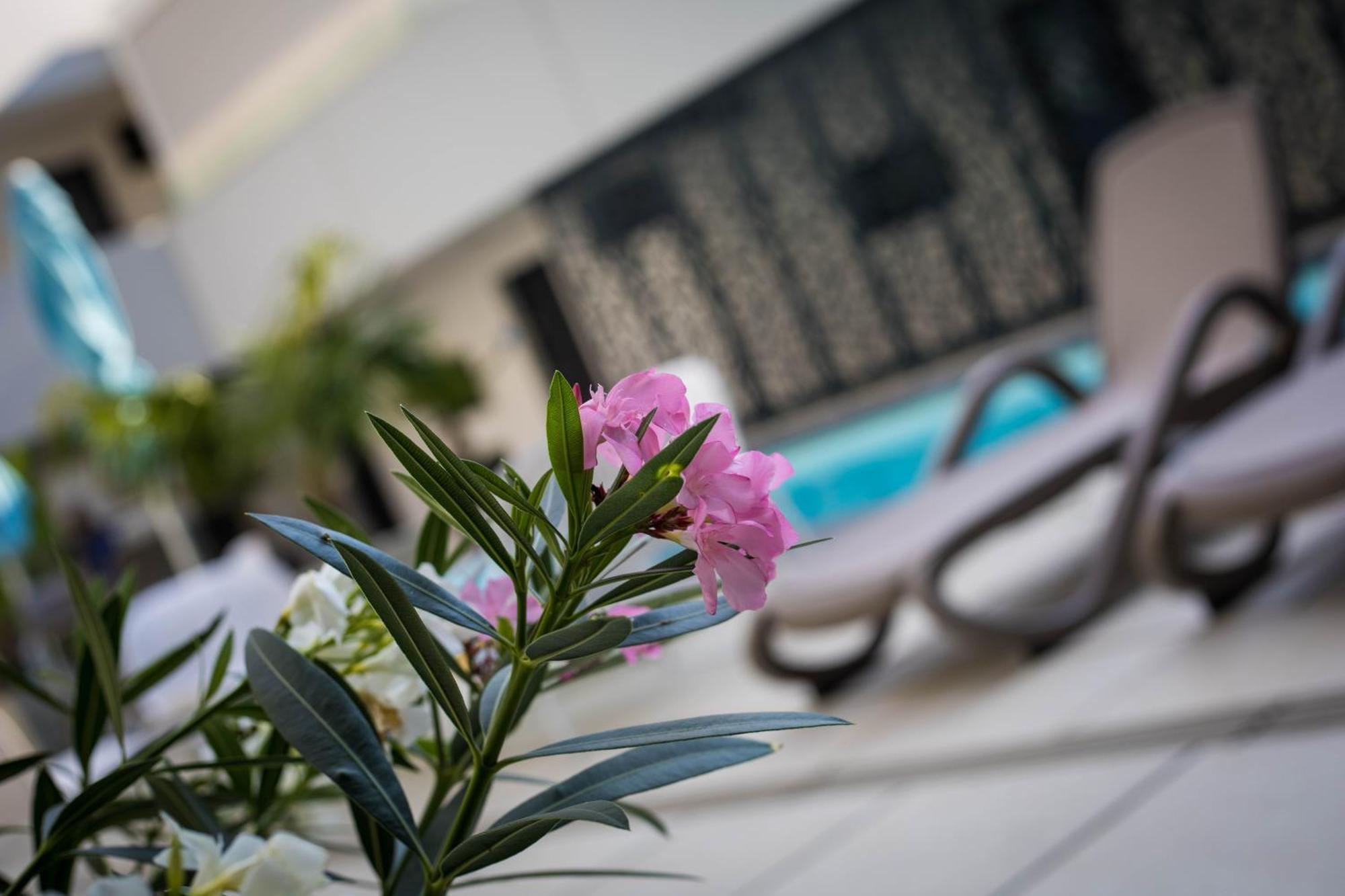 Sunset Resort - Lakeside Apartment Fonyod Bagian luar foto